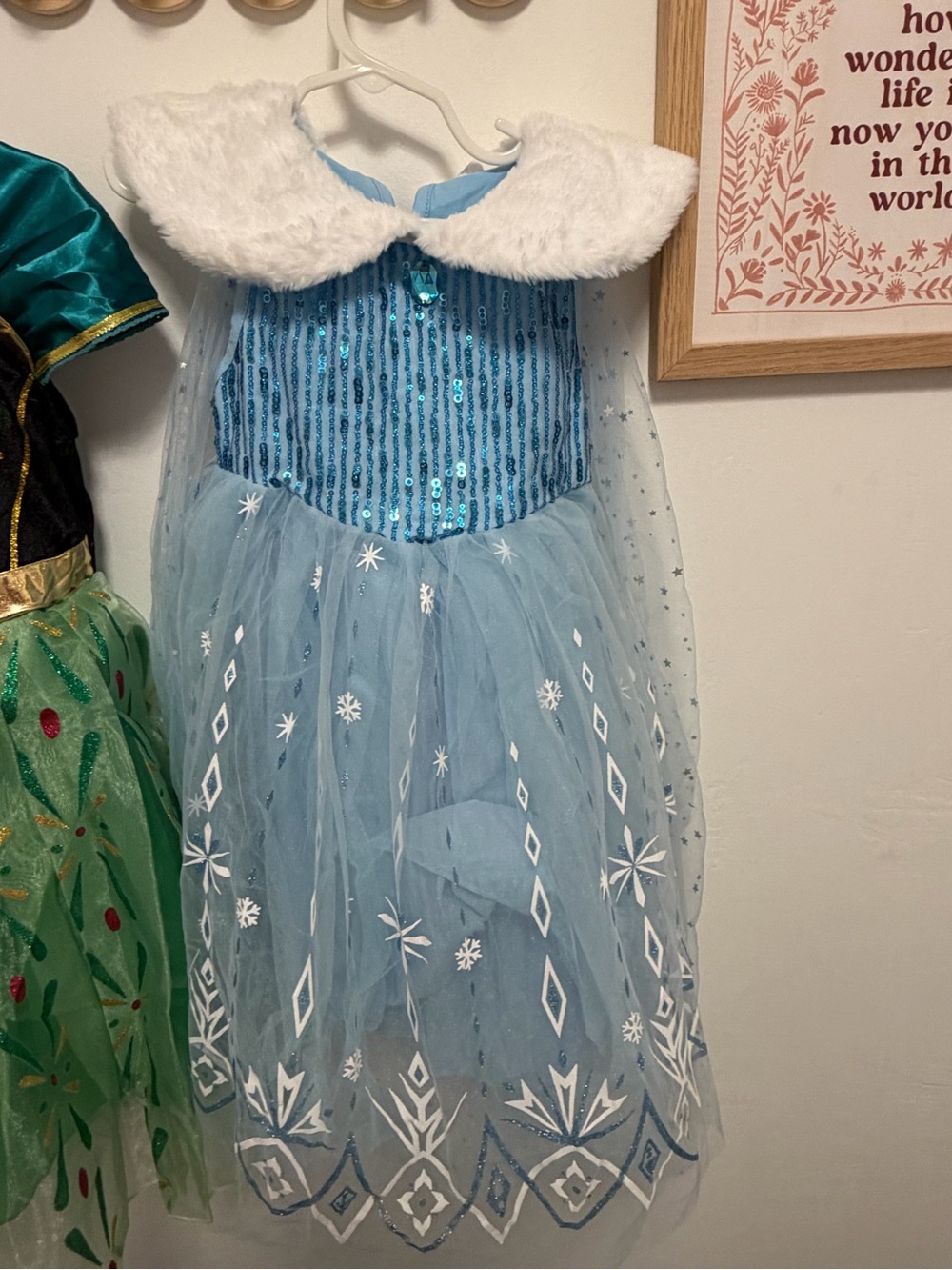 Sparkling Light Blue Princess Cape Dress with Faux Fur Collar